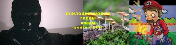 дурь Верхний Тагил